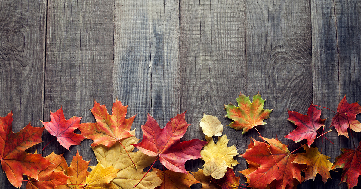Fall Spruce Up
