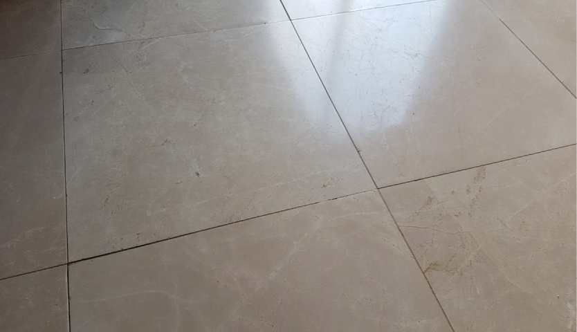 Franchise Opportunity Carpet Cleaner Before