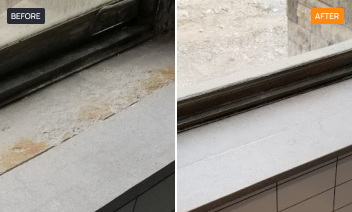 Window
