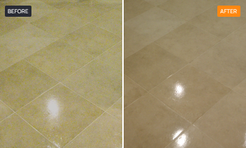 Commercial Floor Maintenance 